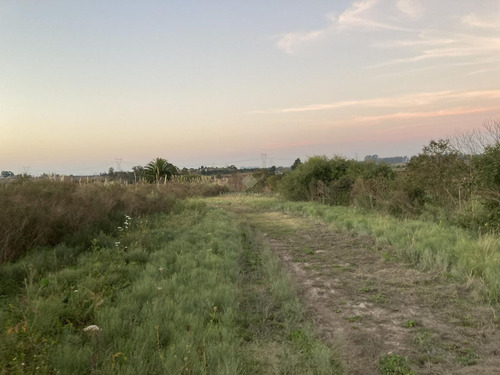 Terreno Para Inversores En Las Piedras