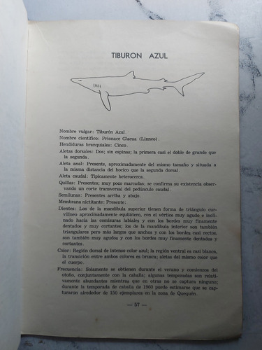 Tiburones En El Mar Argentino. Secretaria De Marina. Ian 632 (Usado)