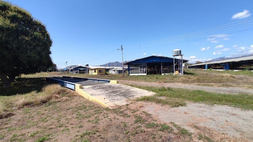 Imagen 4 de 30 de Joselyn Vargas Vende Finca Avicola En Vigirima 22-12944