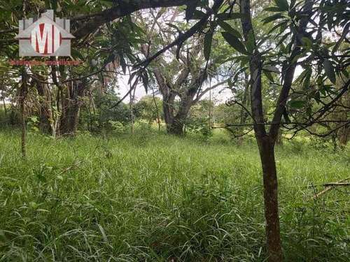 Imagem 22 de 30 de Ótima Chácara Com 03 Dormitórios, Pomar, Vista Deslumbrante, Cômodos Amplos, À Venda, 6000 M² Por R$ 450.000 - Zona Rural - Pinhalzinho/sp - Ch0864