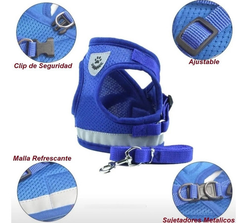 Pechera Malla Para Perros Razas Pequeñas + Correa