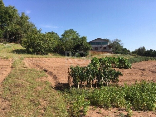 Area Em Vila Nova - Lu430623
