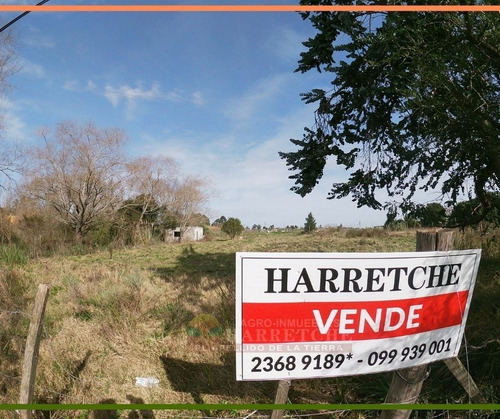 Venta De Chacra A 3 Km De Uam, Montevideo