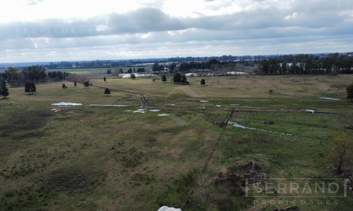 Terreno Campo En Venta En Parada Robles, Exaltación De La Cruz