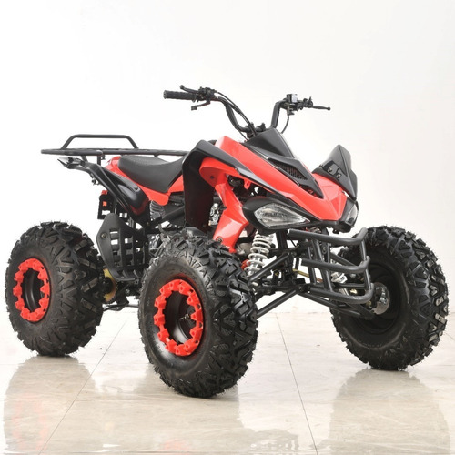 Imagen 5 de 25 de Cuatrimoto 200 Cc Atv Raptor