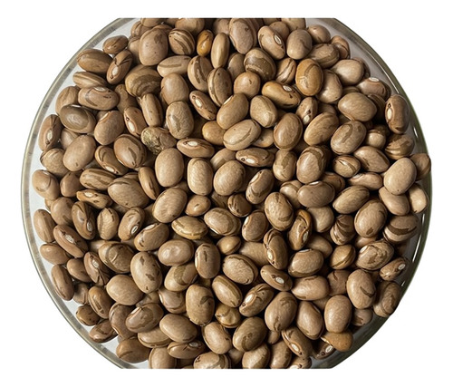 Sementes Feijão Carioca Brs Estilo - Caixa Com 3 Kg