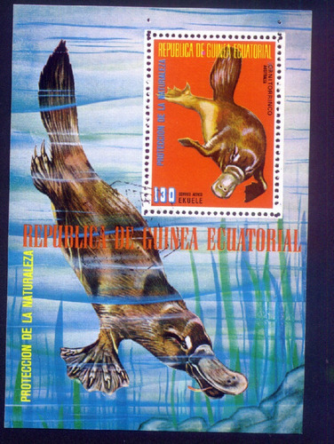Fauna - 2 Blocos Da Rep. De Guinea Ecuatorial - N302