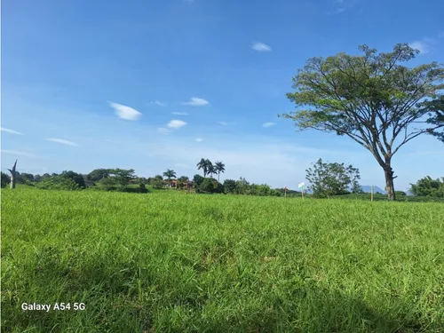 Venta Lotes En Quimbaya -quindío Colombia Cod: 7555717