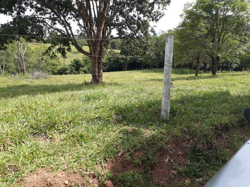 Imagem 7 de 16 de Rural, Zona Rural, Nova Crixás - Go | 858905 - Go - Ch0116_abi