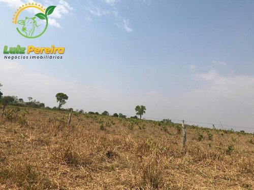 Imagem 3 de 10 de Fazenda À Venda Em Conceição Do Araguaia-pa-1.694 Hectares (dupla Aptidão) - 2028