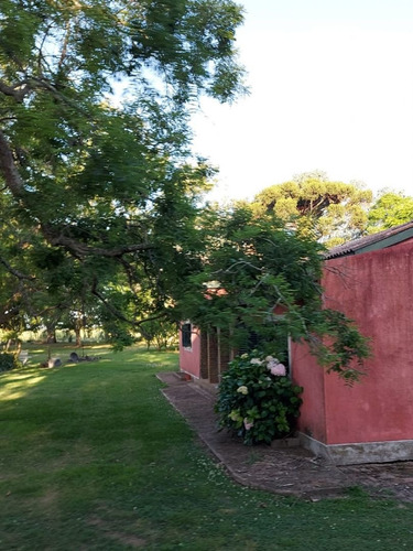 Imagen 2 de 17 de Campo En Venta En Pta Indio