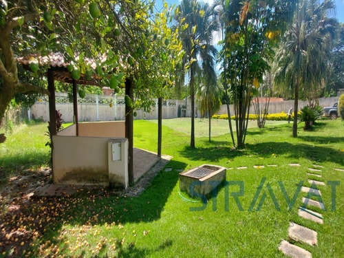 Imagem 13 de 20 de Chacara - Ch00064 - 69212461