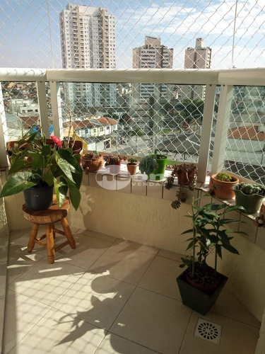 Imagem 14 de 15 de Apartamento - Campestre - Ref: 2198 - V-2198