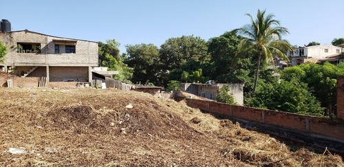 Imagen 12 de 15 de Lote Dharma