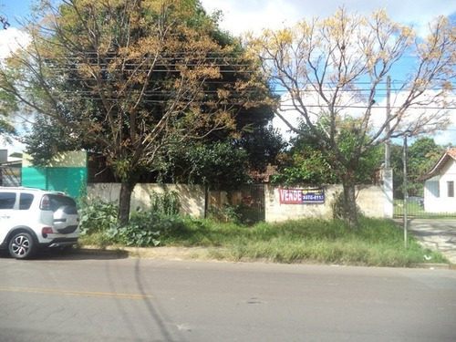 Imagem 4 de 6 de Terreno Para Venda - 90173.002
