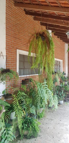 Imagem 2 de 15 de Chácara Para Venda Em Cajamar, Ponunduva, 8 Dormitórios, 3 Suítes, 10 Banheiros, 4 Vagas - 21356_1-1884112