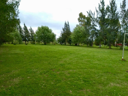 Imagen 5 de 8 de Campo En Venta En Chascomus Con Fondo De Comercio