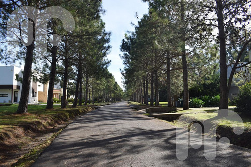 Imagen 3 de 12 de Venta Terreno - Club Miralagos
