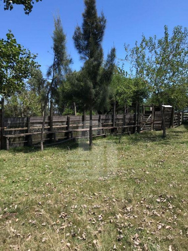 Canelones, 249 Ha Campo Con Casa Y Galpones. Suelo Agrícola.