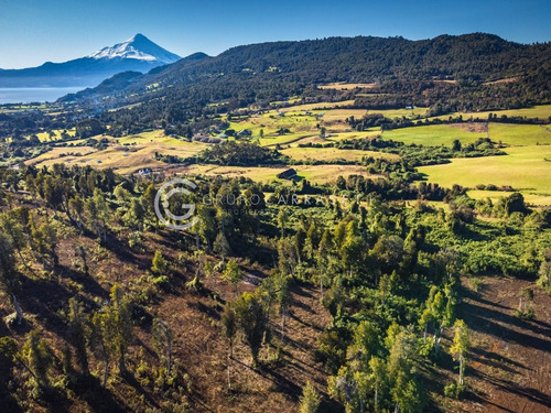 Imagen 16 de 20 de Parcelas Cercanas A Puerto Varas - Entre Volcanes