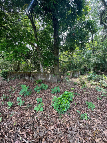 Terreno En Venta En Coatepec Zona Los Carriles