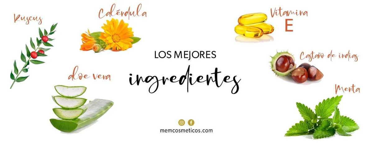 Explora los mejores ingredientes
