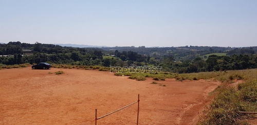 Imagem 3 de 15 de Terreno À Venda, 20000 M² Por R$ 1.600.000,00 - Água Espraiada (caucaia Do Alto) - Cotia/sp - Te9001