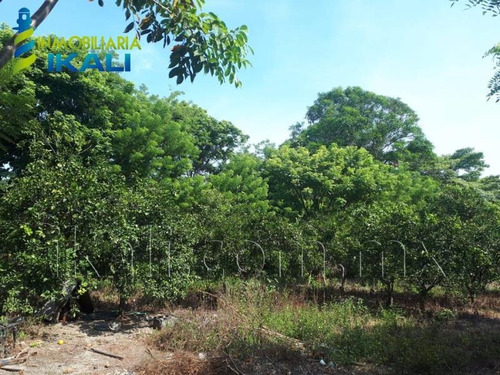 Imagen 7 de 8 de Terreno En Venta Juana Moza