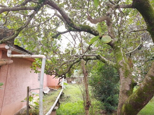 Imagem 2 de 14 de Terreno - Te00121 - 69864315