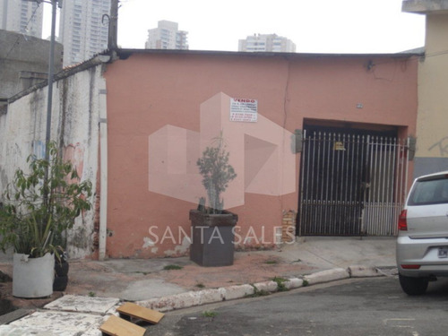 Imagem 9 de 12 de Terreno Com Casas Velhas, Excelente Para Construtores - Ss14569