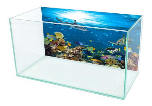 Papel De Parede Adesivo Decorativo Fundo Aquário Peixes Aq04