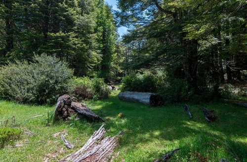 Vendo Parcela 5000m2 En Rinconada De Pucon Curarrehue