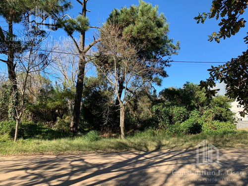 Imagen 4 de 15 de Lote Venta - En Ostende - A 200 Metros Del Mar