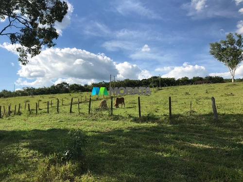 Imagem 2 de 15 de Fazenda - Zona Rural - Ref: 4343 - V-mta4343