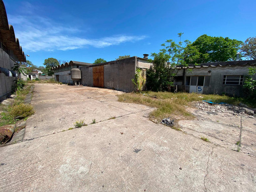 Venta Deposito O Fabrica Brazo Oriental 5.500 M2
