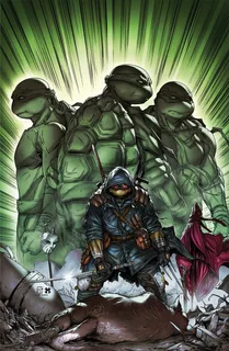 Teenage Mutant Ninja Turtles The Last Ronin 1d