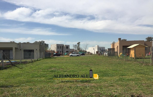Imagen 1 de 4 de Terreno - Pilar