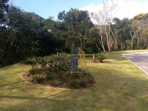 Imagem 12 de 18 de Terreno Residencial À Venda, Itacorubi, Florianópolis. - Te0152