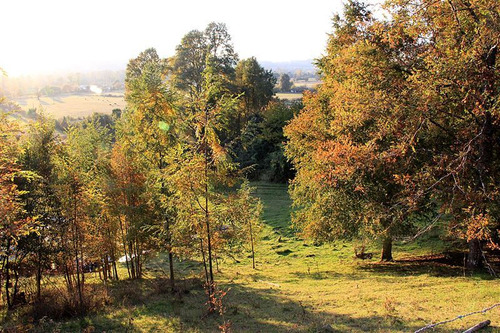 Parcela De 1,4 Hectáreas En Venta A 15 Min. Del Lago Ranco