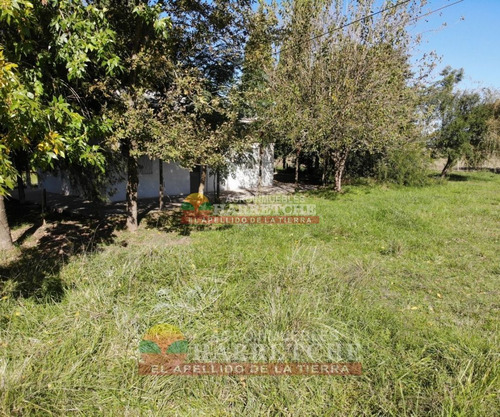 Imagen 7 de 30 de Chacra 5 Has En Venta, Casa 3 Dorm, Cno Gigante