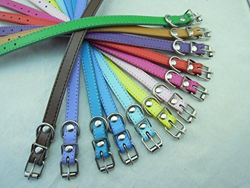 Juego De Collares Para Mascotas De 12 O 16 Collares De Ident