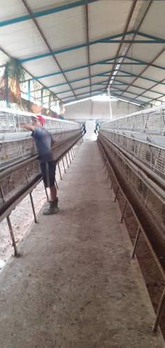 Imagen 2 de 13 de Venta Finca Avicola En Anzoategui
