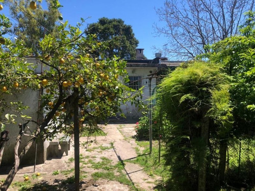 Imagen 13 de 15 de Casa En Venta En Ingeniero Adolfo Sourdeaux
