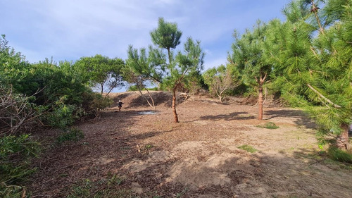 Lote Venta Punta Medanos