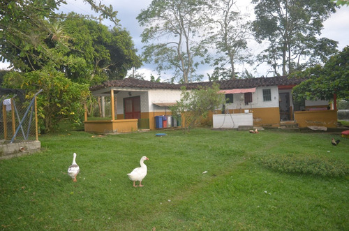 Venta Finca Quimbaya Quindio Cod: 3698898