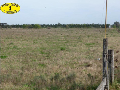 Imagen 3 de 11 de 0976hp- 83 Ha (52 Ha + 31 Ha) - Open Door-manzanares