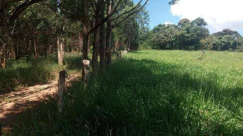Imagem 7 de 13 de Sítio À Venda, 231800 M² Por R$ 600.000,00 - Belo Horizonte - Pouso Alegre/mg - Si0012