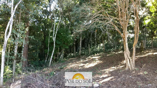 Imagem 10 de 13 de Chácara À Venda Em Pinhalzinho/sp - 0236