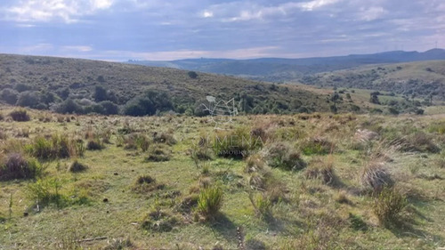 Campo De 80 Has En Paraje Carape Con Costa De Arroyo.