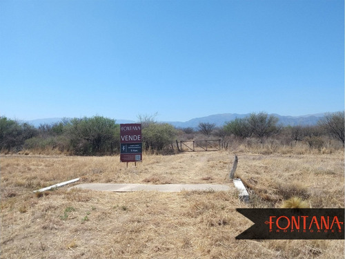 Imagen 4 de 10 de Campo En Venta En Nogolí